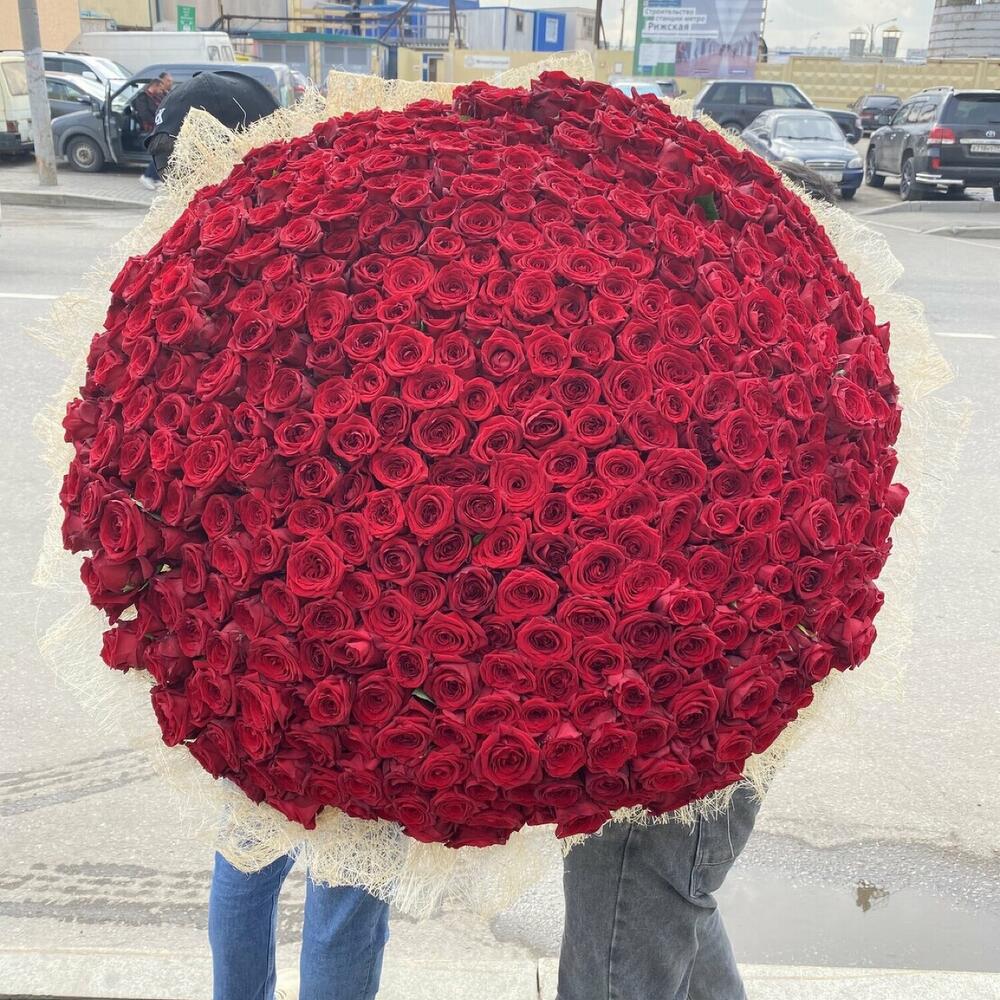 301 Роза Купить Недорого
